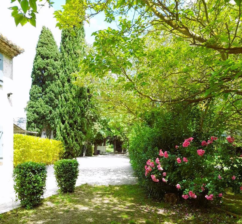 Le Mas Des Vergers Salon-de-Provence Bagian luar foto